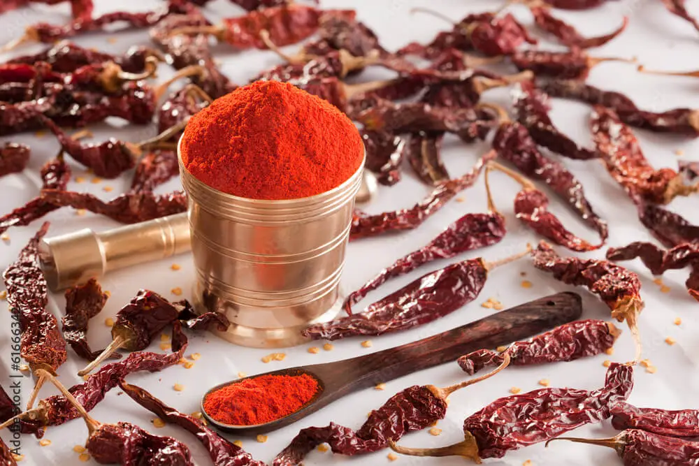 Paneer Butter Masala Recipe Kashmiri red chili powder photo