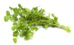 Coriander Vs Cilantro: What Are The Differences And Similarities?