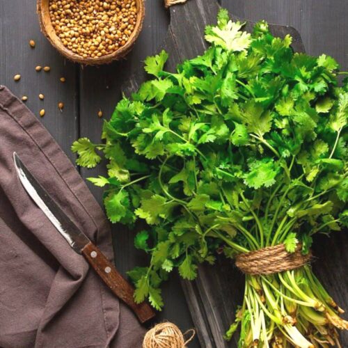 Coriander vs Cilantro What are the Differences and similarities?