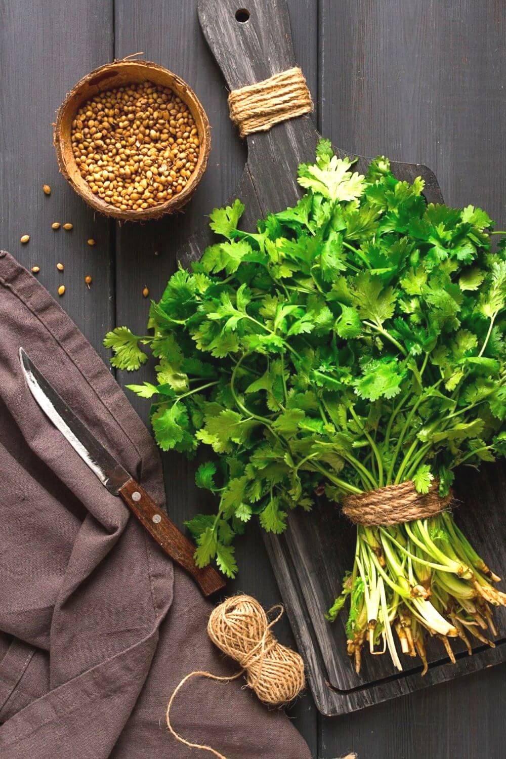 Coriander Vs Cilantro What Are The Differences And Similarities