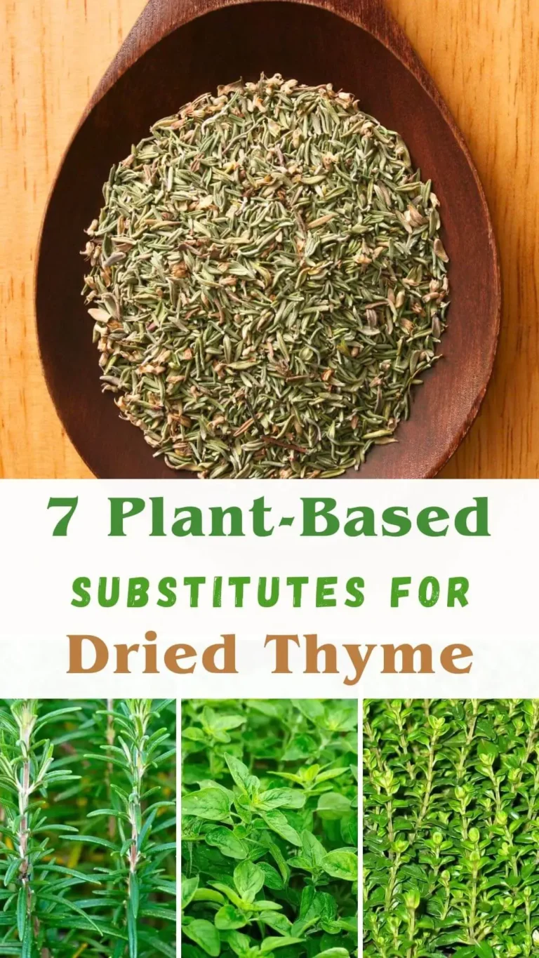 Colorful assortment of herbs, representing plant-based substitutes for dried thyme in cooking.