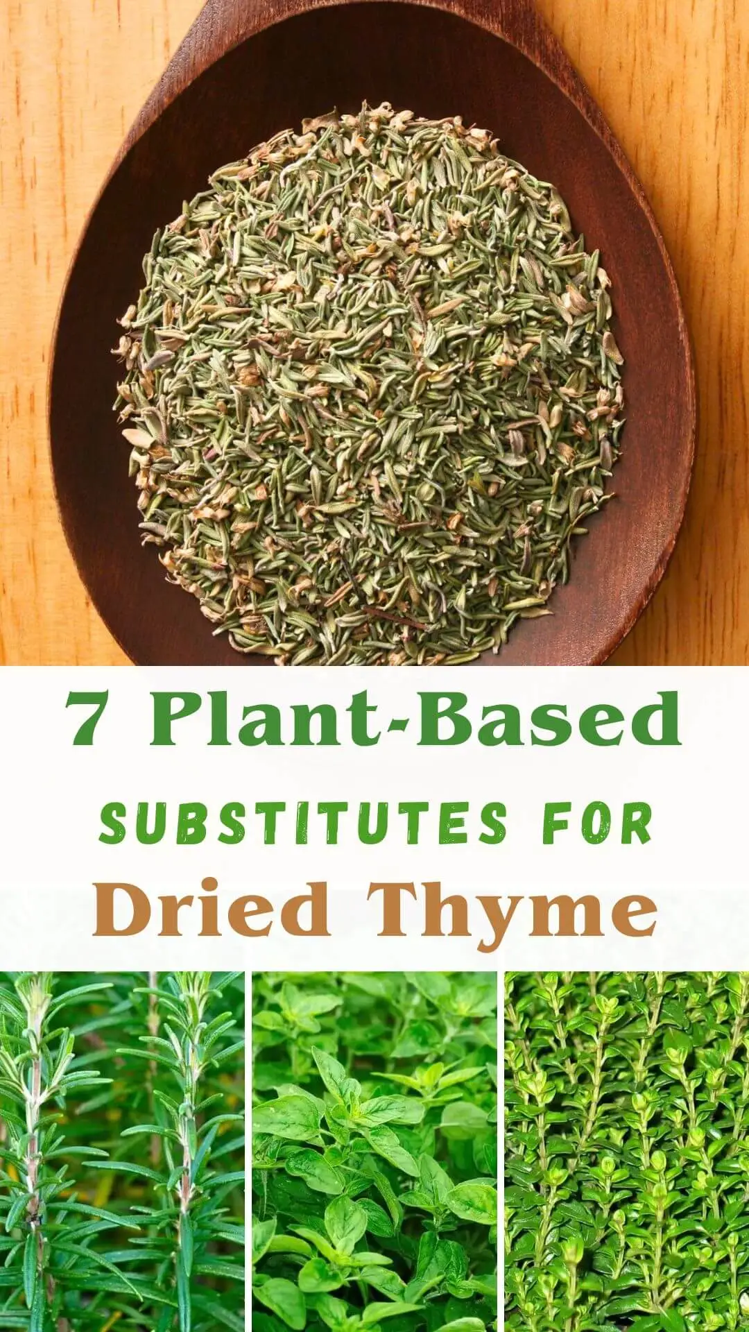 Best Substitute for Thyme - Food with Feeling