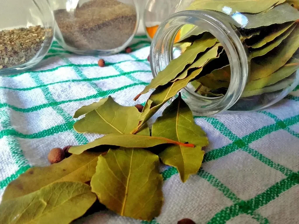 Bay leaves, a herbal addition that can replace dried thyme in recipes.
