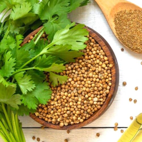 Discover the Best Coriander Substitute for Your Cooking