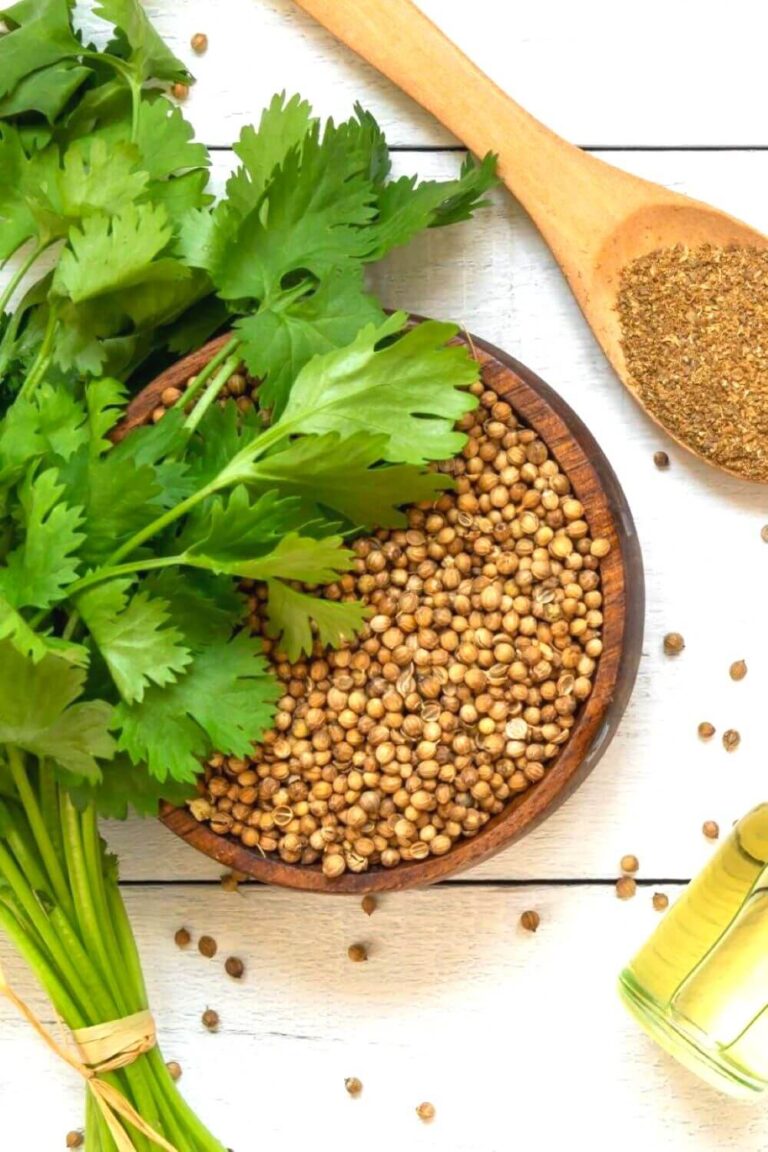 Coriander substitute
