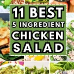 5-ingredient Chicken Salad Recipes