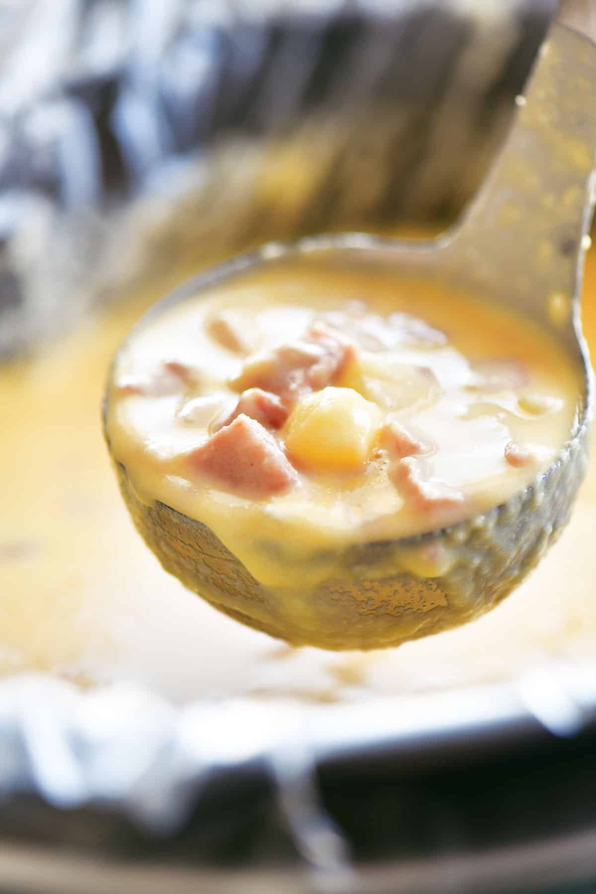 Slow Cooker Ham & Cheese Soup