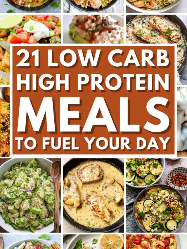 Low Carb High Protein Meals