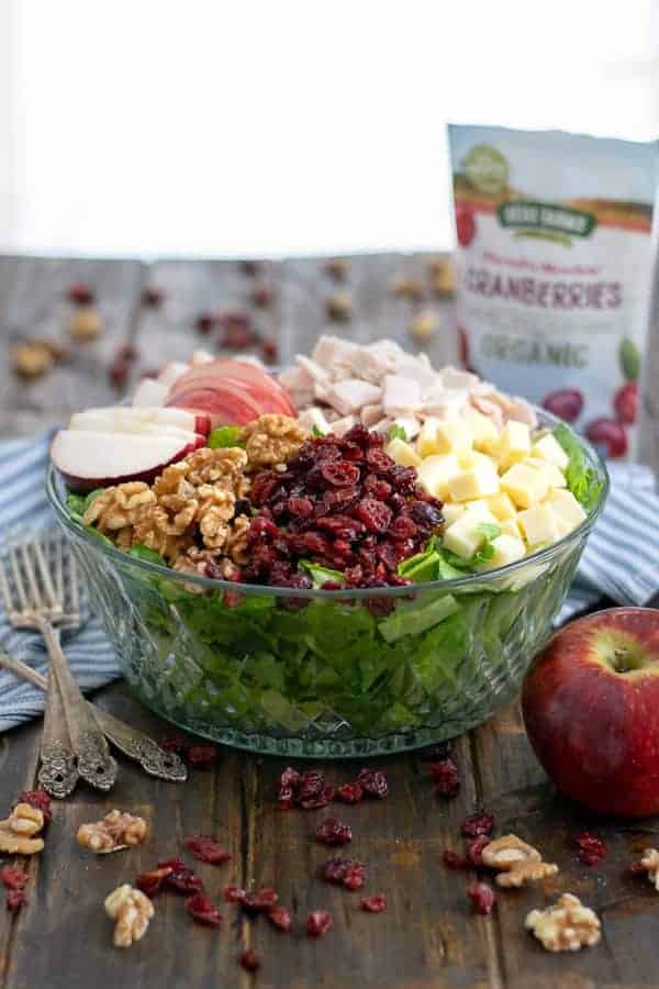 Apple Cranberry Salad With Turkey & Apple Cider Vinaigrette