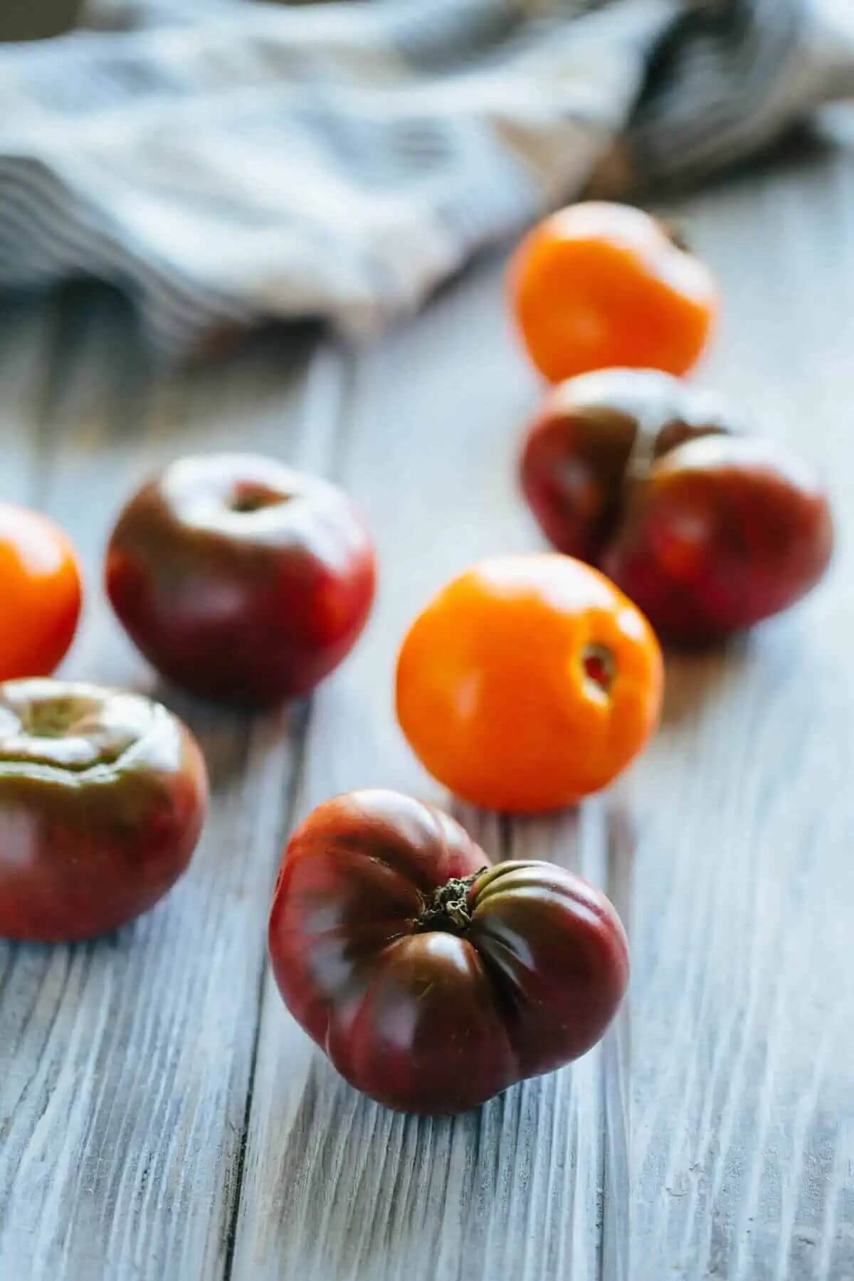 Greek Tomato Fritters - The Mediterranean Dish