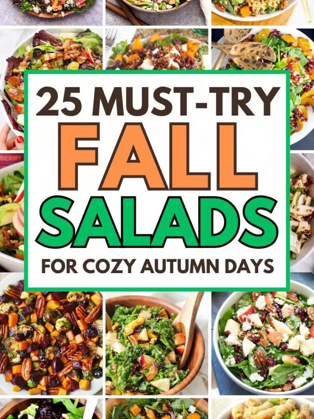 Fall Salads for Cozy Autumn Days