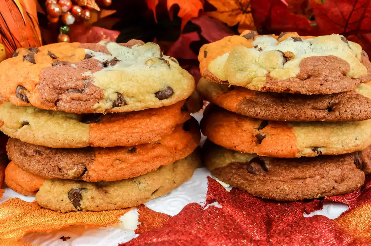 Harvest Marble Chocolate Chip Cookies