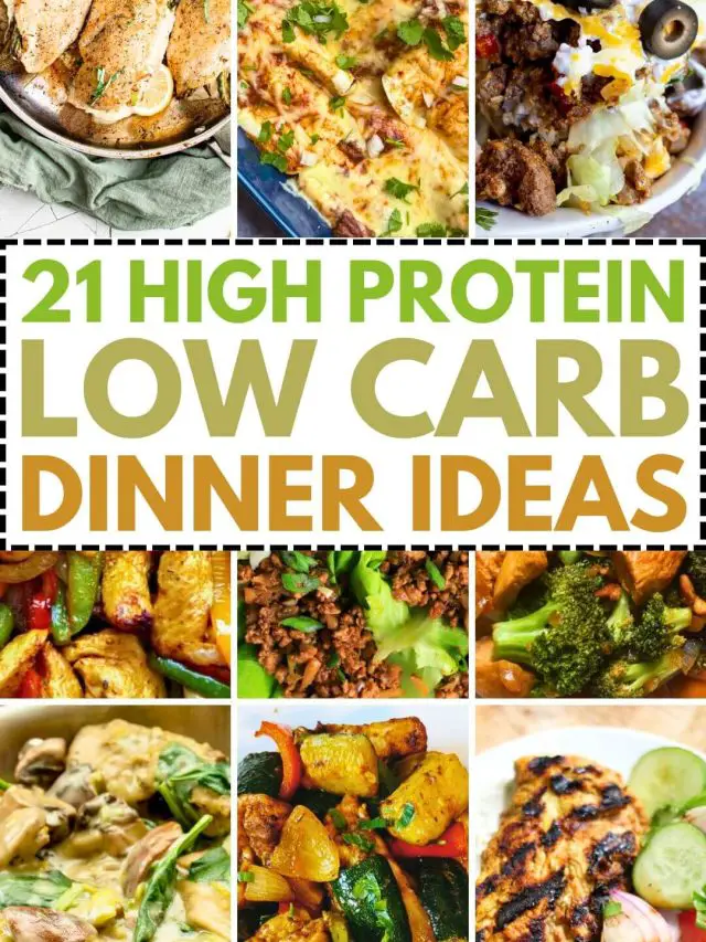 High Protein Low Carb Dinner Ideas