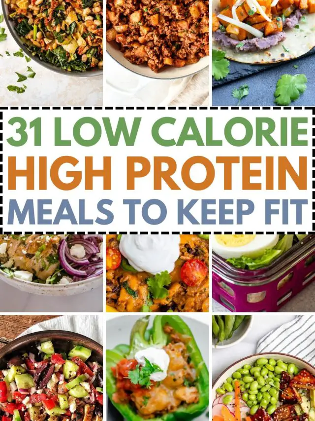 Low Calorie High Protein Meals