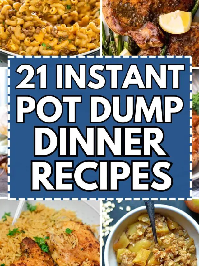 Instant Pot Dump Dinner Recipes