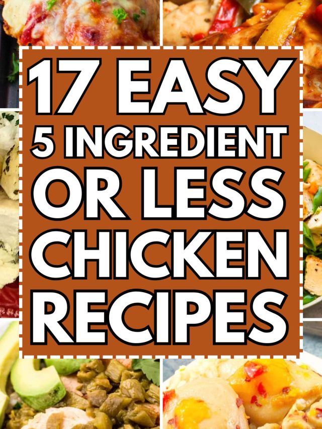 Easy 5-Ingredient or Less Chicken Recipes