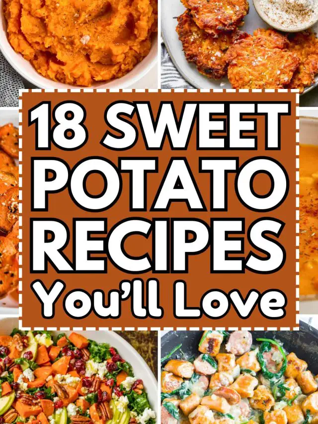 Sweet Potato Recipes