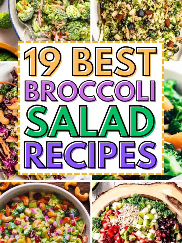 Broccoli Salad Recipes