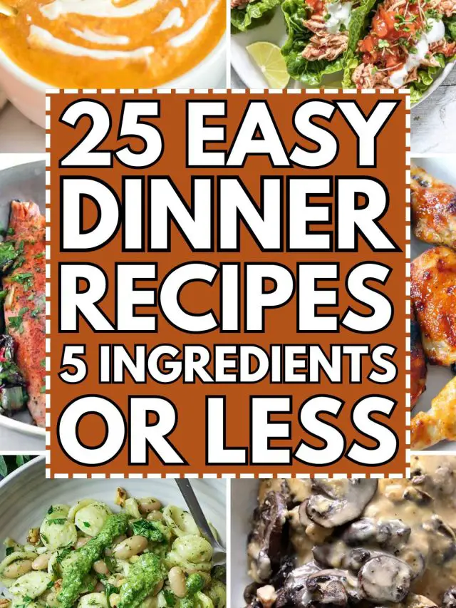 Dinner Recipes With 5 Ingredients Or Less