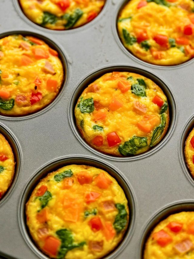 Egg Muffins